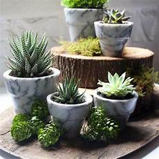 Marble Decoratives