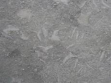 Marble Sea Grass