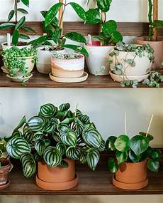 Marble Varieties