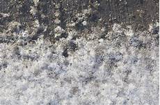 Snow White Marble